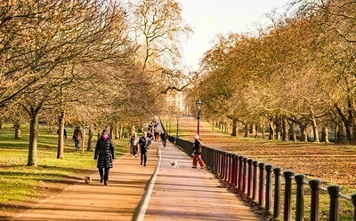 People walk along a wide paved path lined with trees in a park during autumn, with leaves scattered on the ground and sunlight casting a warm glow.